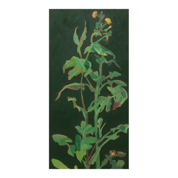 Moestuinschets, 40 x 25 cm, oil paint on canvas